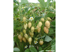 ��������� ������ ����.jpeg