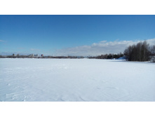 IMG 20180324 132930.jpg