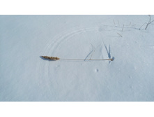 IMG 20180317 142015.jpg