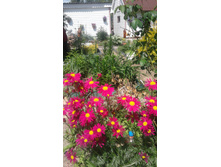 2017 ��� (19).jpg