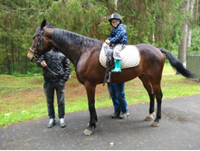 IMG 20170907 113827.jpg