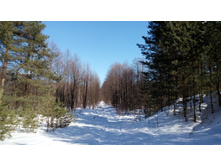 IMG 20180310 124233.jpg