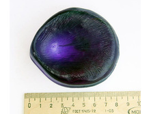 �������� ���� L.jpg