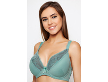 BFP0785-1 �����������