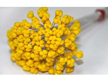 ������� ��� ����� ������.jpg