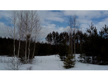 IMG 20180324 113405.jpg