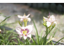 2016 ��� (8).JPG