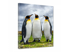 2081 ��� �������� - 150�