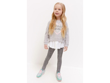 20220160154   Gemini   ������ preview.jpeg