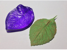 ���� ���� �.jpg