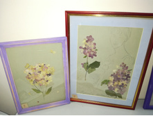 IMG 20171124 192022.jpg