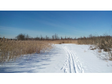 IMG 20180310 113859.jpg