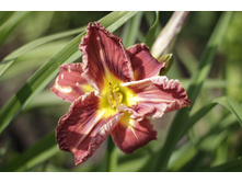 2016 ��� (34).JPG