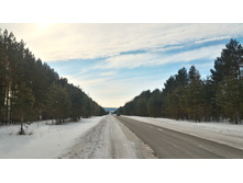 P 20180303 104541 HDR.jpg