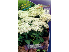 91.3���. ������ �������� [�������� ���� �� 2 ��. ����������� ����� 1 ��.).jpg