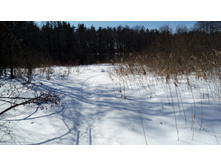 IMG 20180310 115927.jpg