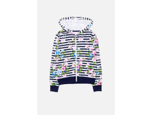 20210130132   Grus   �������(���) preview.jpeg