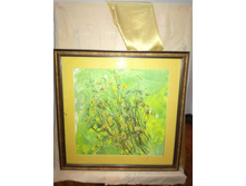 IMG 20171124 192220.jpg