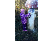 ������������ ������ ��� ������� "���������" ����������