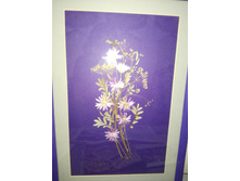 IMG 20171124 191357.jpg