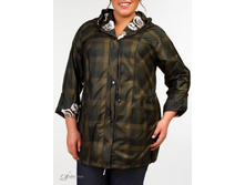 ������ 2718133-27.jpg