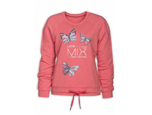 DFN6729/1 ��������� ������� (1 �� � ���.)