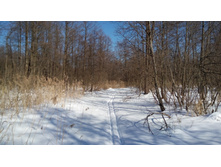 IMG 20180310 115953.jpg