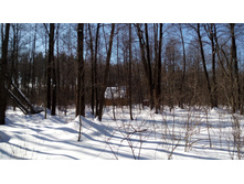 IMG 20180310 122036.jpg