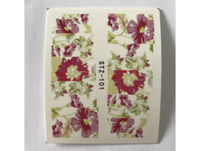 �������-������ 1 �� 13 ���