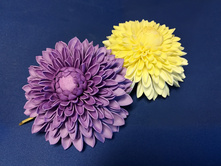 IMG 20180117 115559.jpg