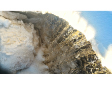 P 20180308 161746 HDR-01.jpeg