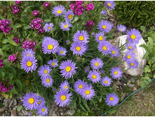 ����� ����������