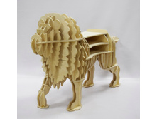 ���� - ����� -���