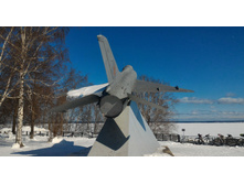 P 20180324 123313-01.jpeg