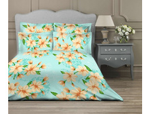 IMG 0790-19-03-18-04-30.JPG