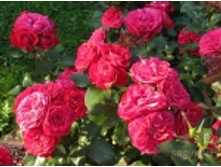 ���� ���� 3�� 160�.jpg