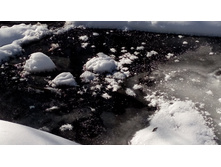 IMG 20180310 122432.jpg