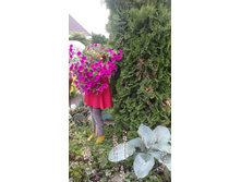 ����� �������