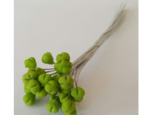 ������� ��� ����� �������.jpg