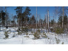 IMG 20180317 130321.jpg