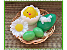 ���������� ����� No 13, 210 ���