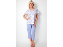 LP2234B ������.jpg