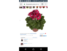 Screenshot 20171025-125430.png