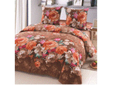 BZ Hayley DOUBLE P.jpg