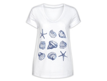 DFT6620 �������� ������� (1 �� � ���.)