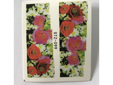 �������-������ 1 �� 13 ���