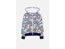 20210130132   Grus          (   ).jpg