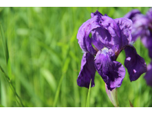 ���� ������ ���������� ������ (�ϣ ����)