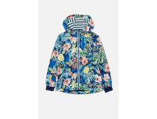 20210130134   Crimson   �����-�����(���) preview.jpeg