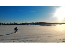 P 20180308 162450-01.jpeg